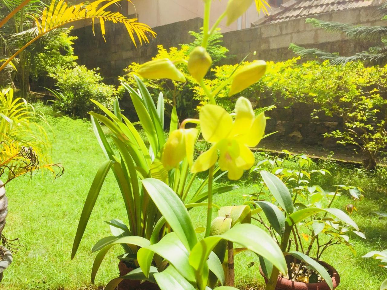 Ganesh House Homestay Kovalam Exterior foto